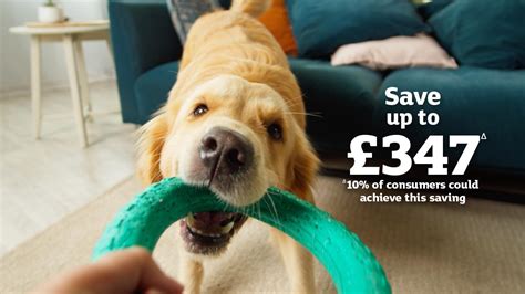 sainsbury's online pet portal insurance.